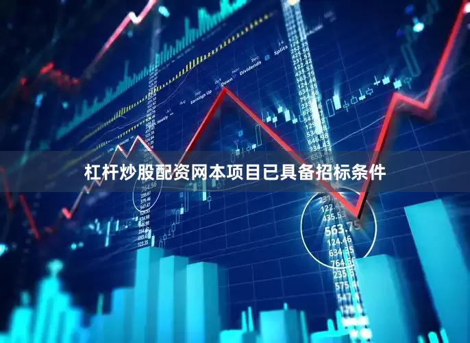 杠杆炒股配资网本项目已具备招标条件