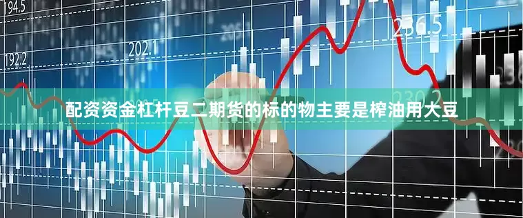 配资资金杠杆豆二期货的标的物主要是榨油用大豆