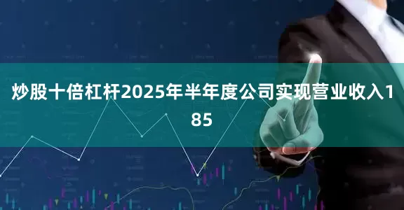 炒股十倍杠杆2025年半年度公司实现营业收入185