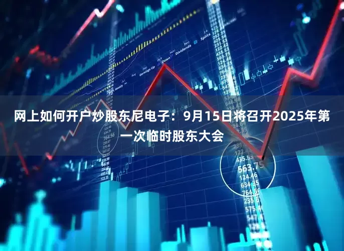 网上如何开户炒股东尼电子：9月15日将召开2025年第一次临时股东大会